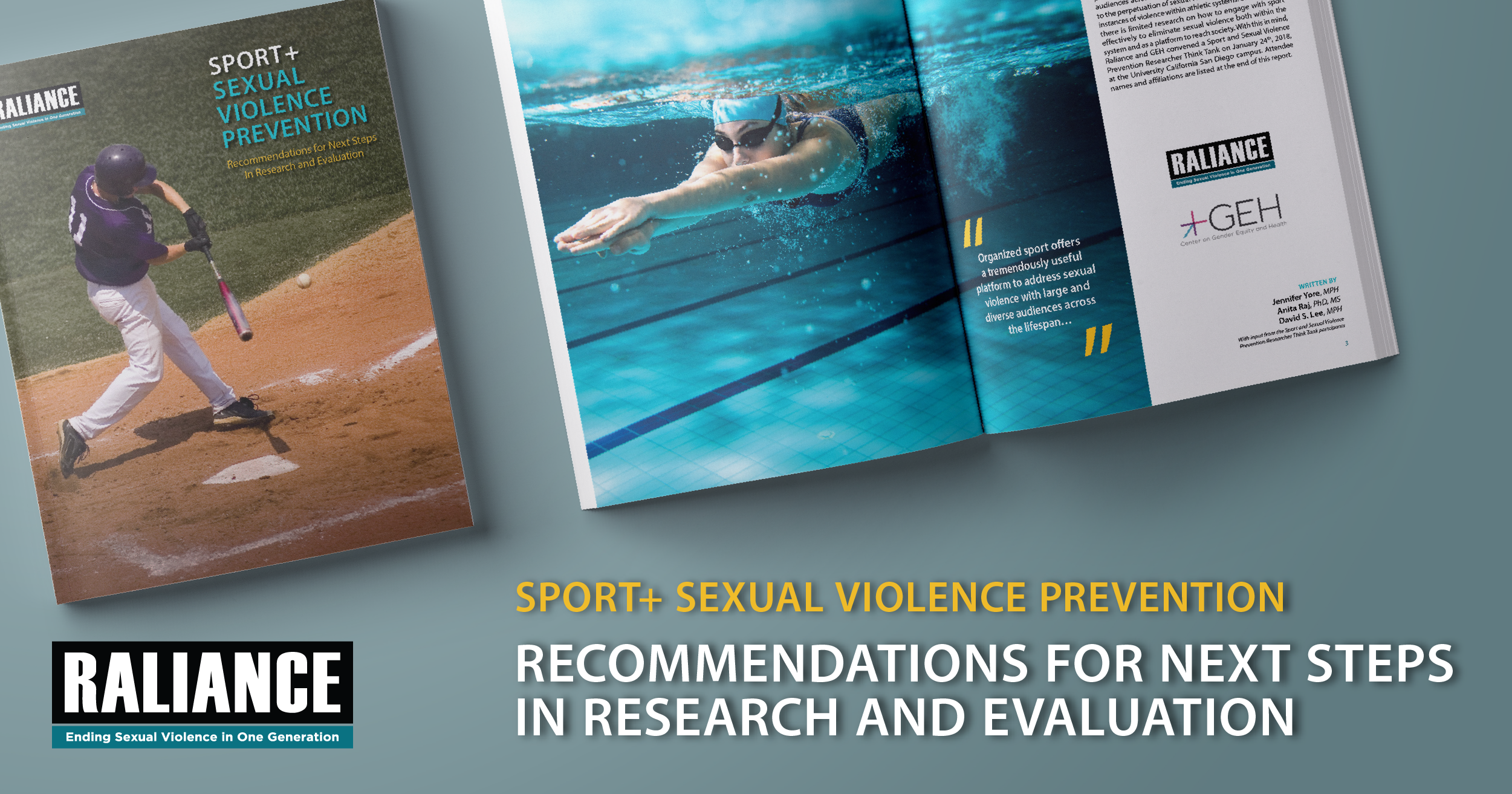 Recommendations for Next Steps In Research and Evaluation