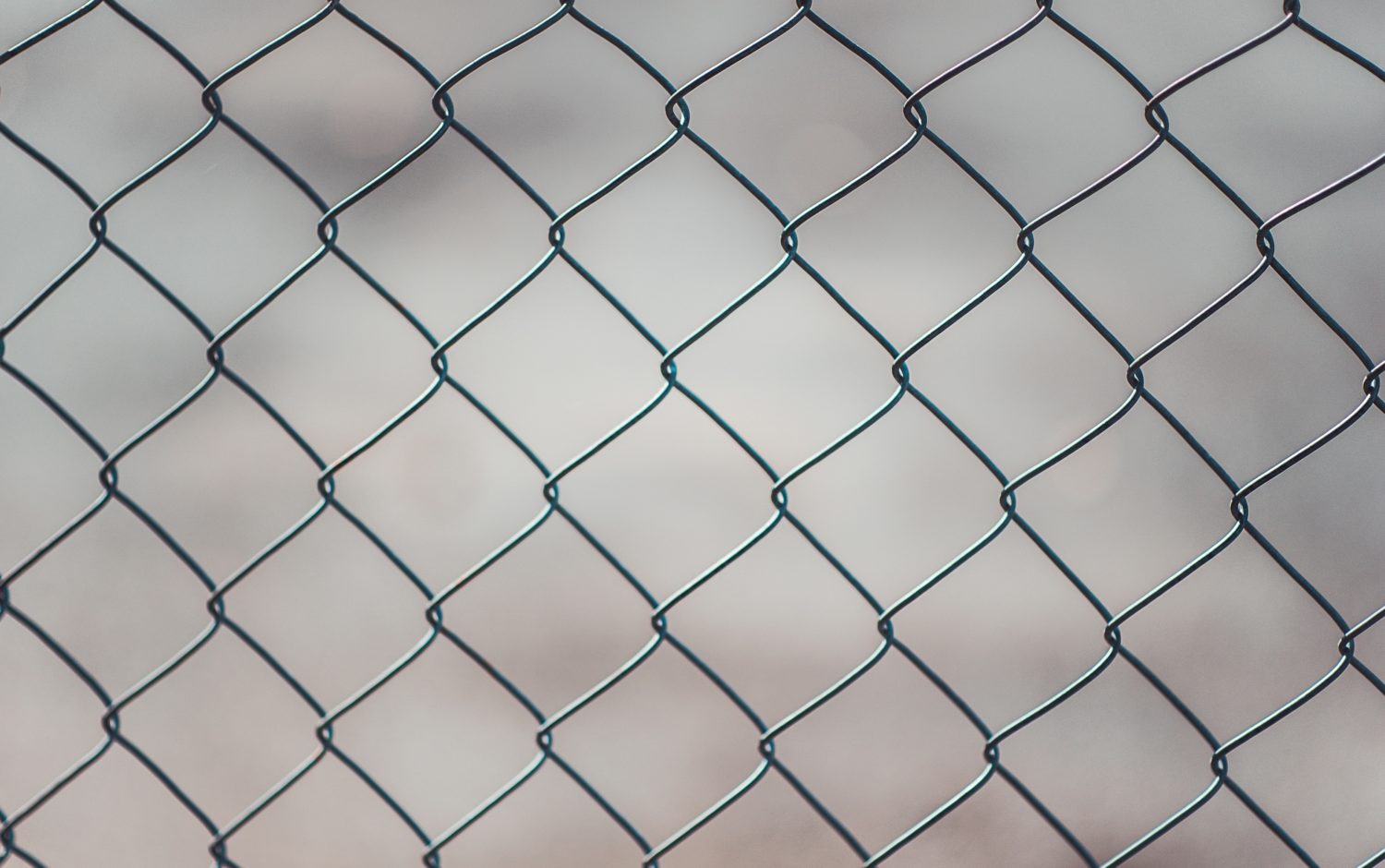 Close-up photo of a chain link fence