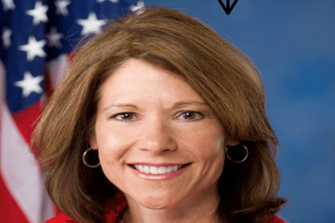 Profile of Illinois Congresswoman Cheri Bustos in front of American flag