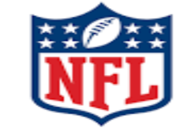 NFL Logo