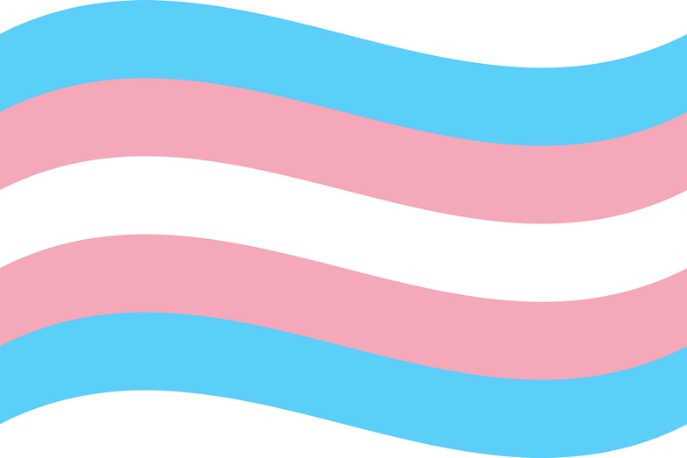 Trans flag on a white background