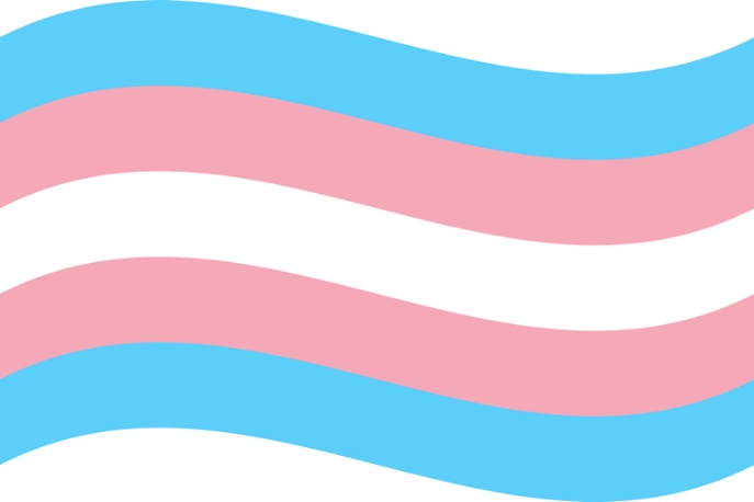 Trans flag on a white background